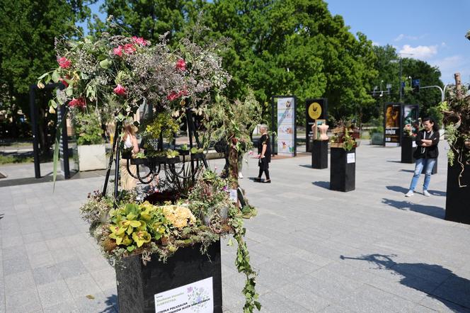 Weekend z florystyką w Lublinie. Zobacz imponujące roślinne instalacje w centrum miasta!