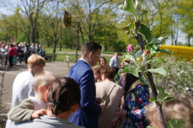 Sad edukacyjny na Antoniuku [ZDJĘCIE DNIA]