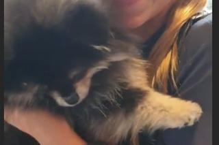 Maja Oświecińska z pieskiem Jadzią