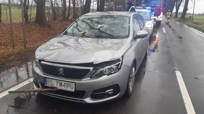 Gałęzie przebiły szybę jadącego auta! Sceny jak z horroru