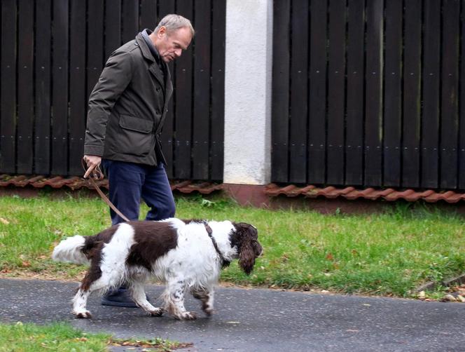 Donald Tusk na spacerze z Portosem