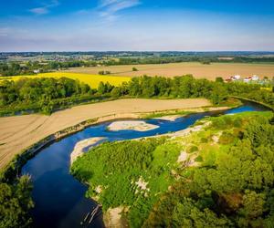 Graniczne Meandry Odry - piękny zakątek przyrody przy granicy z Czechami ZDJĘCIA