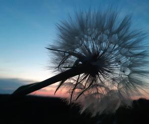 Światowy Dzień Fotografii. Z tych fotek są dumni nasi Czytelnicy! ZOBACZ