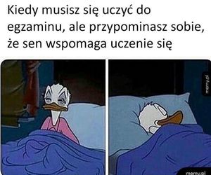 Egzamin ósmoklasisty 2025 r. - memy