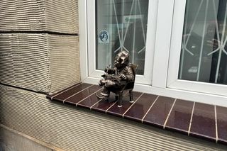 Nowy krasnal we Wrocławiu odsłonięty! Zobacz zdjęcia krasnala Praw Człowieka 