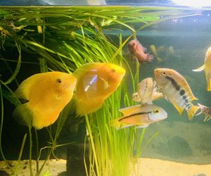 Rozmawiamy z Tomaszem Wiśniewskim, założycielem Aqua Dreams Bydgoszcz