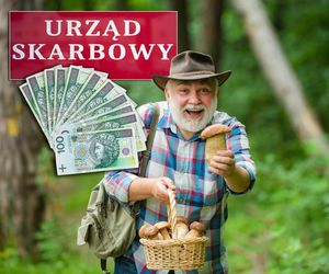 Skarbówka bierze się za grzybiarzy!