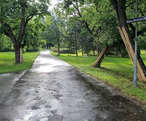 Piła na dwóch kółkach – nowe ścieżki rowerowe coraz bliżej