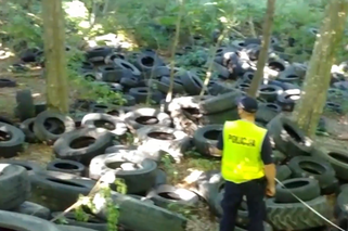 Ogromne składowisko opon w lesie. Sprawą zajęła się prokuratura [WIDEO]