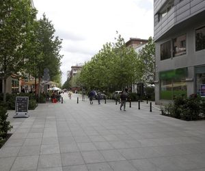 Martwe drzewa na Chmielnej w Warszawie. Miasto potwierdza. „Termin wymiany to jesień”