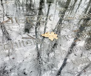 Grób Jerzego Gurawskiego w Poznaniu na Miłostwowie
