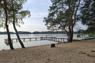 Pomysł na jesienną wycieczkę w mniej niż 1,5 h z Lublina. Jezioro Bialskie zaskoczy was spokojem! Zobacz zdjęcia