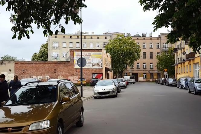Dziewięć fragmentów ulic na łódzkim Polesiu zostanie przeobrażonych w ulice-ogrody