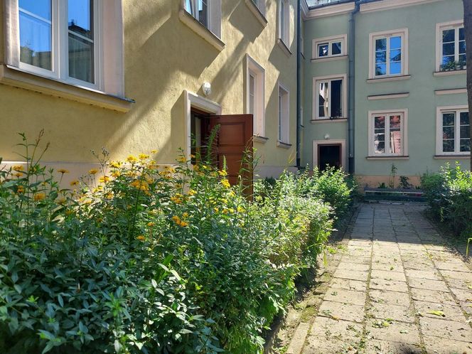 Urokliwe podwórka Starego Miasta w Zamościu