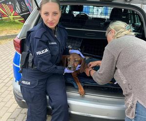 Policjanci z Goleniowa uratowali porzuconego psa