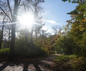 Park Wilsona