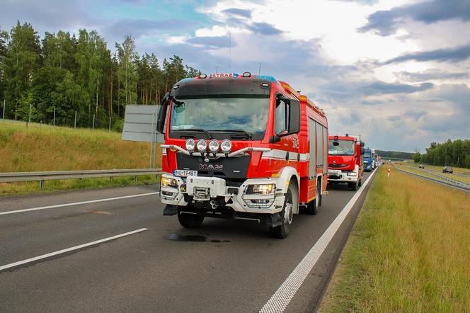 Dwóch mężczyzn nie żyje, kilku zostało rannych! Potworny wypadek busa na S7. Auto zostało zmasakrowane