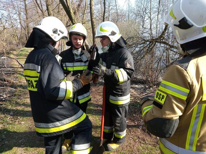 Potężny pożar na Śląsku! Strażacy kilka godzin walczyli z ogniem