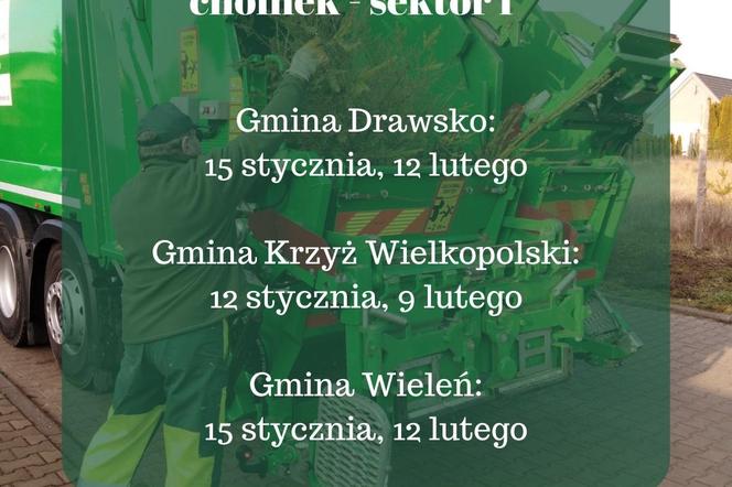 Znamy tegoroczny harmonogram odbioru choinek