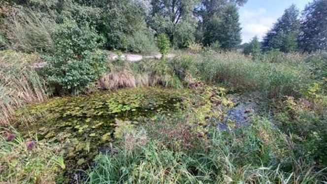 Szlak Wielkich Jezior Mazurskich do modernizacji. Jakie prace zostaną wykonane?