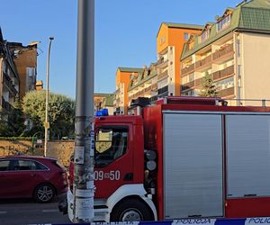 Pożar w Ząbkach. Strażacy przeszukują pogorzelisko