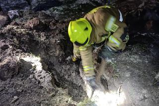 Szczeniaczki uratowane przez stowarzyszenie Zwierzoluby z Siedlec i strażaków