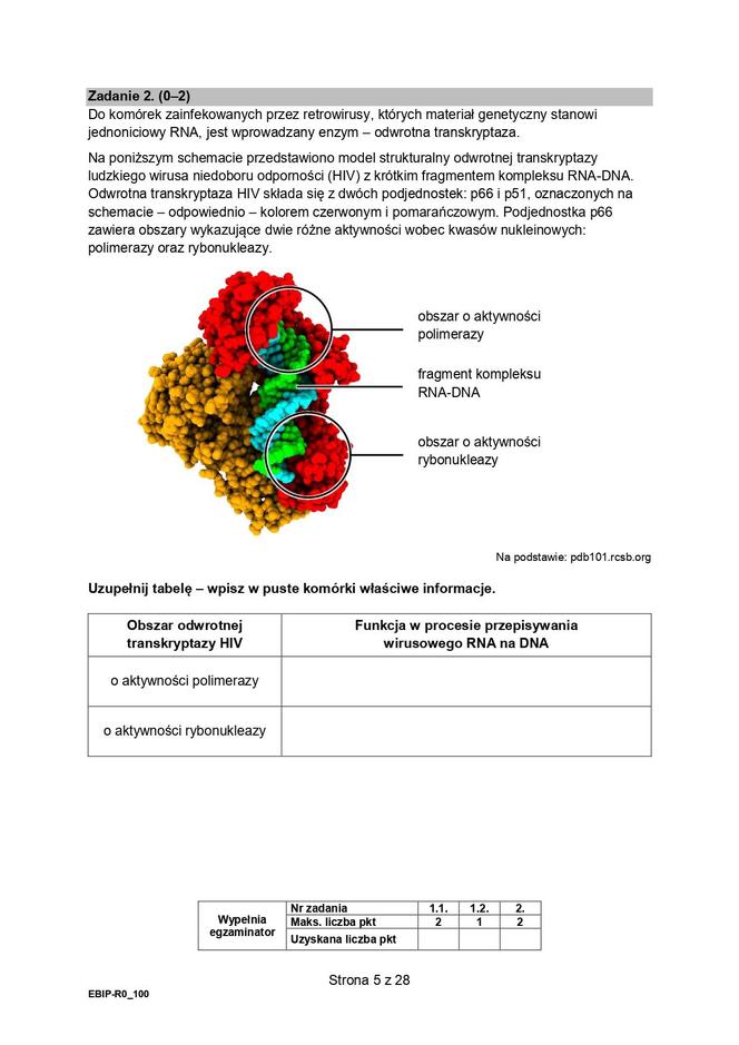 Biologia arkusze MATURA 2024 rozszerzenie FORMUŁA 2015