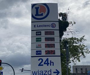 Ceny paliw w Łodzi