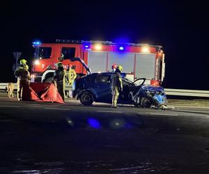 Tragiczny wypadek pod Warszawą. Chciał ominąć psy, roztrzaskał się o słup. Nie żyje