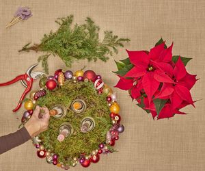 Adwentowa aranżacja z gwiazdą betlejemską