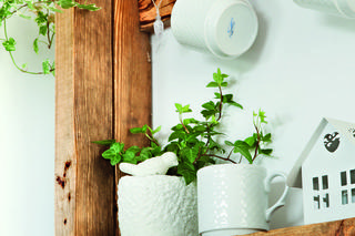 Biała kuchnia z drewnem