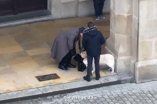 Największe akcje Buddy 