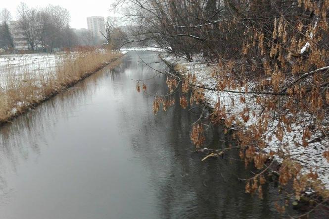 Kanał Wystawowy na Saskiej Kępie