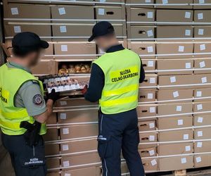Kontrabanda za 1,5 mln zł ukryta w cebuli. Podlaska KAS udaremniła przemyt papierosów