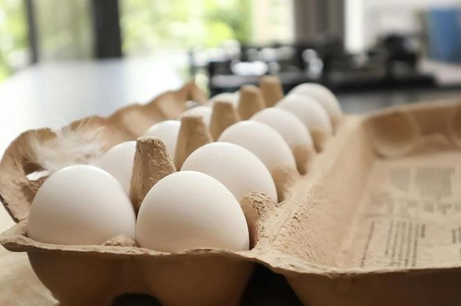 Przed nami „Dzień Jaja” na Uz-cie!