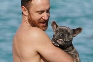 David Guetta z psem na plaży w Miami