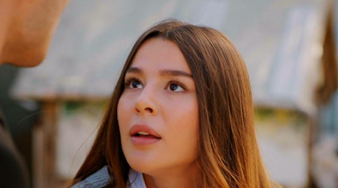 Miłość i nadzieja, odcinek 302. Ege, Zeynep