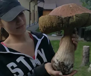 Znaleźli gigantycznego grzyba. Wystarczy na całą Wigilię