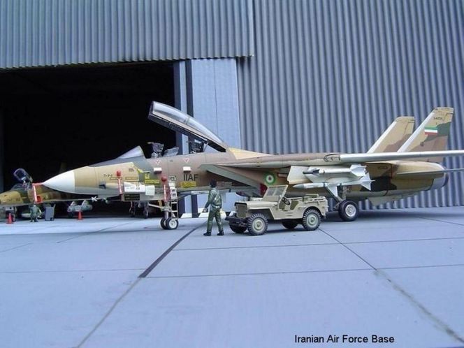 F-14 Tomcat