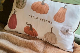 Poszewki jesienne - Sinsay 