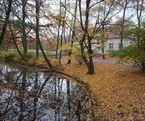 Park Sołacki w Poznaniu jesienią