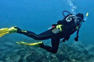 Rozmowa z Lukrecją Wilk z Chicago