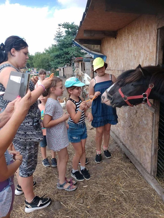 Gospodarstwo wiejska zagroda