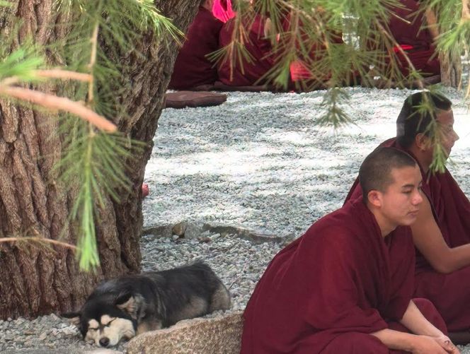 Ewa Kasprzyk medytuje w Tybecie