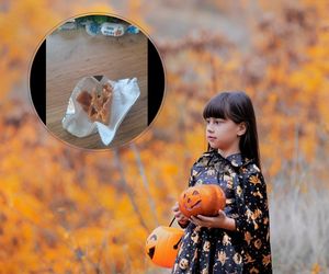 Cukierek i psikus w jednym. Zawartość słodyczy mrozi krew w żyłach. Jakim bydlakiem trzeba być