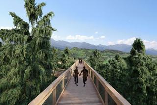 Sky Walk - Serce Poronina