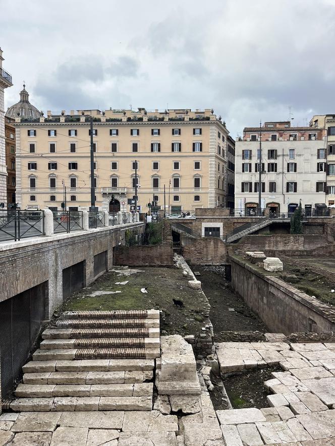 Largo Argentina w Rzymie. Koty zamieszkały w starożytnych ruinach - zobacz zdjęcia