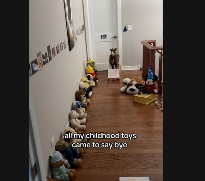 Polka z przedmieść Chicago wzruszyła świat. Jej film obejrzały miliony