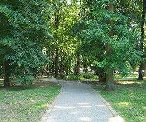Park Miejski w Sandomierzu