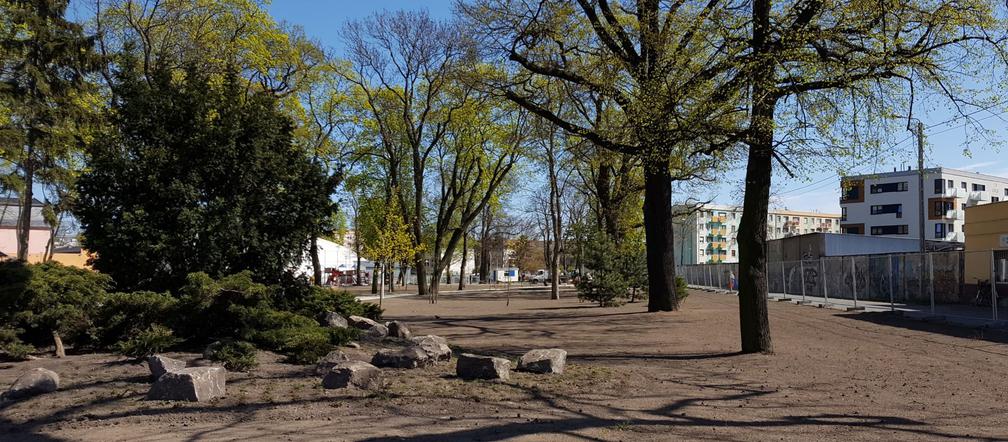 Od dziś otwarte lasy i parki. Ale parki Heermanna i Jonstona wciąż ogrodzone